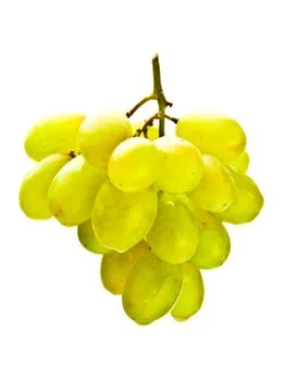 Hanging bunch of white grape Foto stock