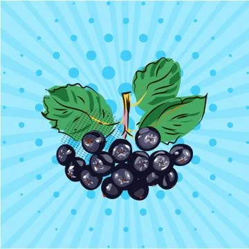 Hanging bundle of chokeberry on a blue background,lines,dots.Hand made in the Stock Illustration