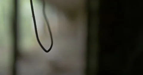 A hanging cable close-up abandoned building Stock Footage 200945573