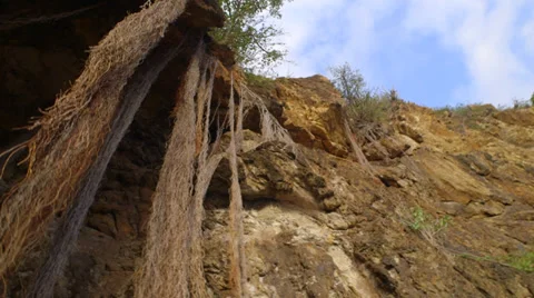 Hanging Canopy Stock Footage 34437904