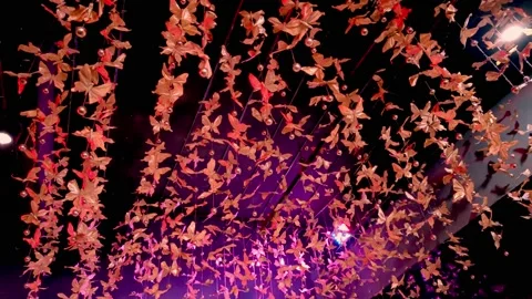 The hanging ceiling decoration is in the form of a beautiful golden butterfly Stock Footage 218976092