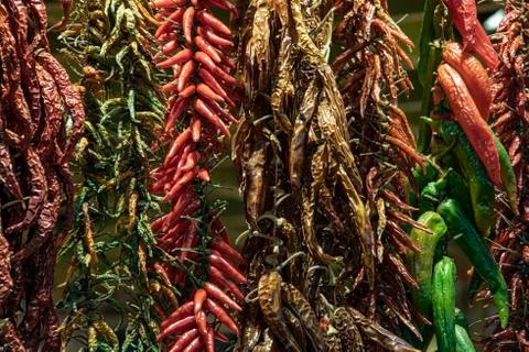 Hanging chains of dried chillies Stock Photos