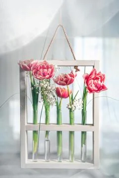 Hanging composition with tulips in test tubes, flower flasks Stock Photos