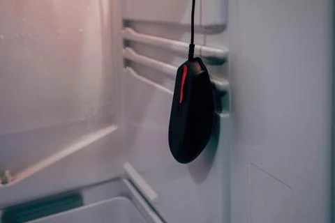 Hanging computer mouse in the empty fridge. Hunger concept Foto stock
