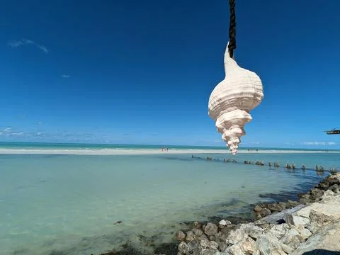 Hanging conch shell decoration above the turquoise sea in Mexico Fotos Stock