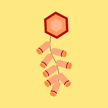 Hanging Decoration Chinese Firecracker Vector Illustration Graphic Stock Illustration