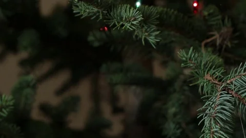 Hanging decorations on Christmas tree Stock Footage 71158368