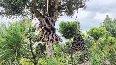 Hanging decorations on a tree during a cloudy day in a garden 스톡 동영상 340187165