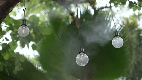 Hanging decorative string lights amidst lush green foliage Stock Footage 242812074