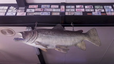 Hanging Decorative Trout And Foreign Banknotes On Ceiling Beam Stock Footage 340497890