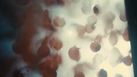 Hanging Dried Persimmons Behind Sheer Sheet in Cinematic Drying Room Lighting Stock Footage 332239790