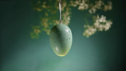 Hanging Easter egg, festive decoration, green branch, green background, hol.. Stock Footage 262145313