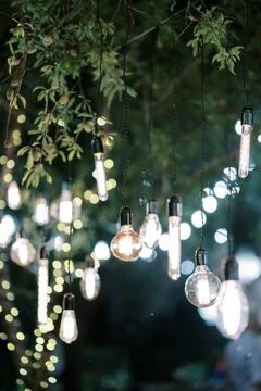 Hanging Edison Bulbs and Tree Branches Night Scene Stock Photos