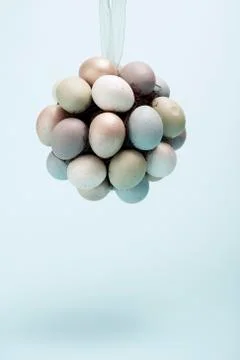 Hanging Egg Cluster Stock Photos