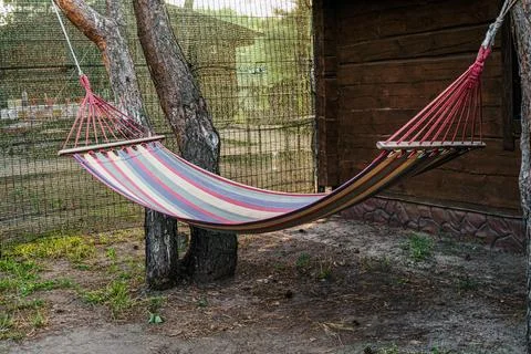 Hanging empty hammock between pine trees in forest for camp and rest Stock Photos