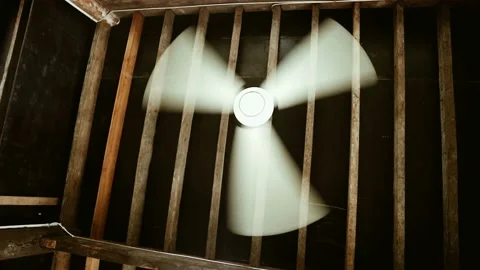 Hanging fan on the wooden ceiling Stock Footage 220857028