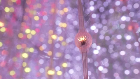Hanging Fiber Optic Lights in a Digital Art Installation Stock Footage 312748563