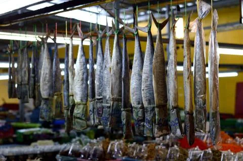 Hanging Fish Stock Photos