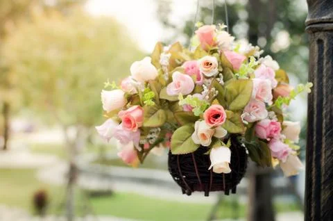 Hanging flower basket Stock Photos