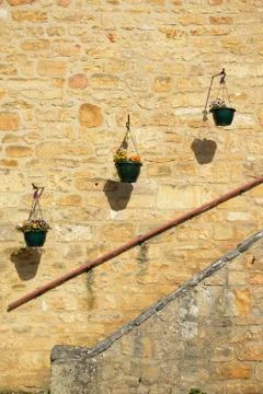 Hanging flower baskets. Stock Photos