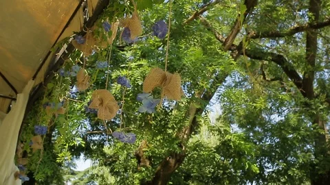 Hanging flower decoration Stock Footage 88439605