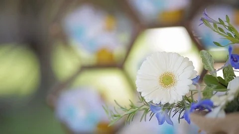 Hanging flower decoration Stock Footage 88439647