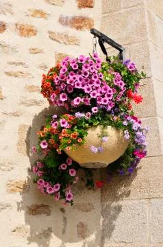 Hanging flower pot Stock Photos