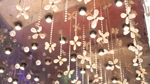 Hanging Flowers and String Lights for Decor Stock Footage 341548389
