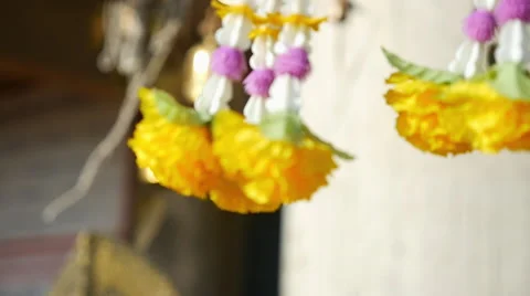 Hanging Flowers blowing in wind Stock-Footage 56436674