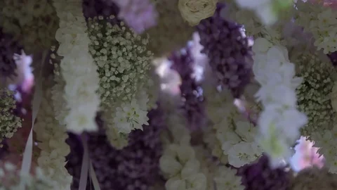 Hanging flowers Stock Footage 98678282