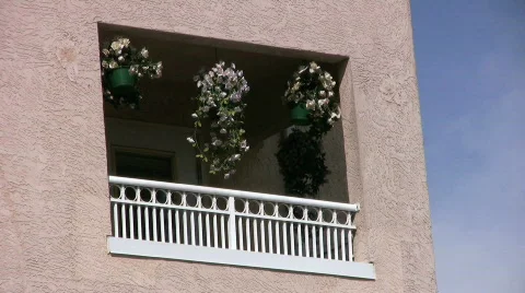 Hanging Flowers (HD 1080p30) Stock Footage
