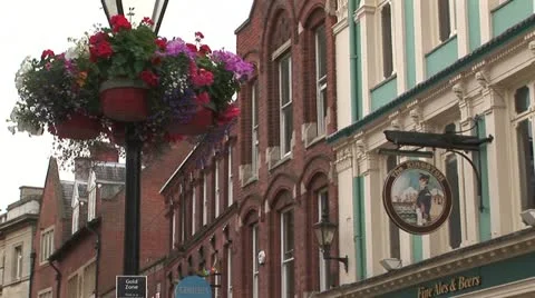 Hanging flowers on post Video stock 11634235