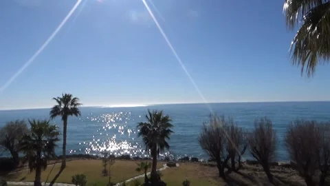 Hanging gardens Stock Footage 235656206