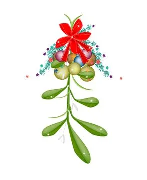 Hanging Green Mistletoe with A Red Bow Stock Illustration