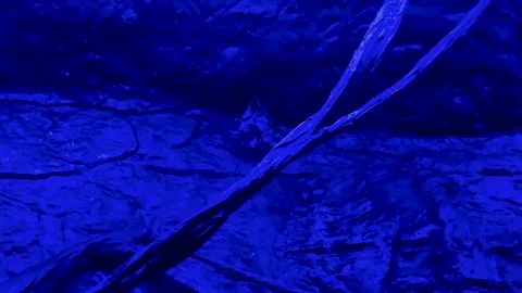 Hanging Group of Bats Stock Footage 247523961