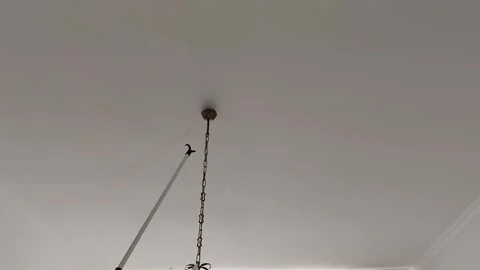 Hanging Lamp Chains: Ceiling Attachment Tips Stock-Footage 306062845