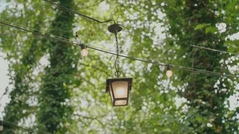 Hanging lantern and string lights among trees outdoors Stock Footage 324885868