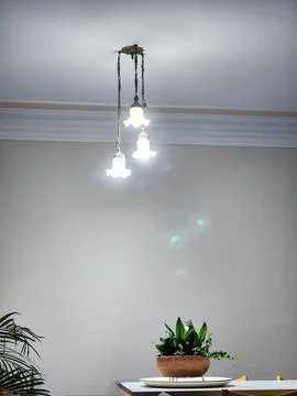 Hanging Light with Plants Stock Photos