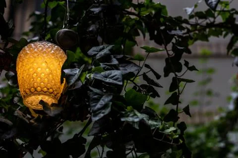 Hanging light surrounded by vines Stock Photos