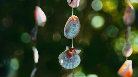 Hanging mobile close-up, crafted from shells and seashells from the Stock Footage 251879251