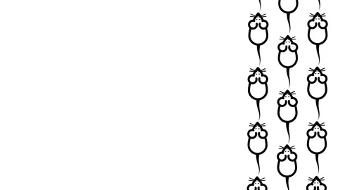 Hanging Mouse Paw Print Border Pattern Stock Footage 336838302