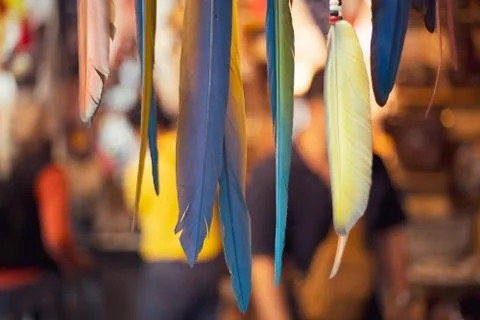 Hanging multicolor handmade Dream catcher with feathers Stock Photos