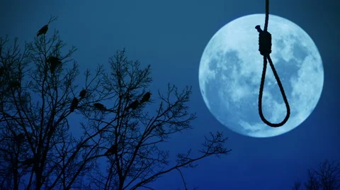 Hanging noose with the moon in the background. Stock Footage