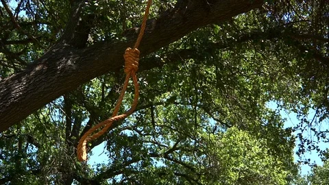 Hanging Noose Swinging in Tree Stock Footage 90769058