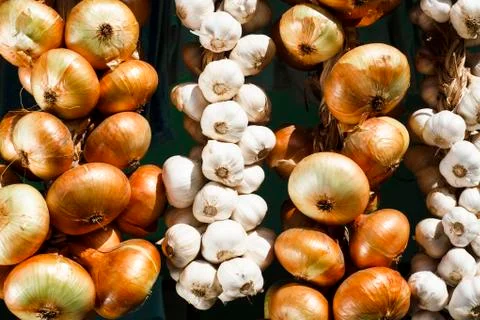 Hanging onion Stock Photos