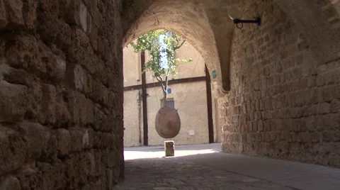 Hanging orange tree 스톡 동영상 51327117