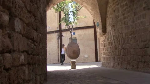 Hanging orange tree Stock Footage 51327494