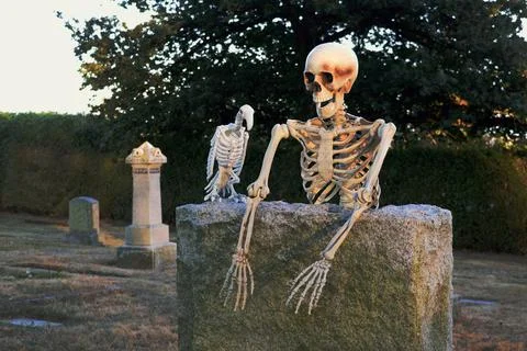 Hanging out in the graveyard Foto stock