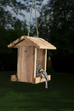 Hanging out Stockfoto's