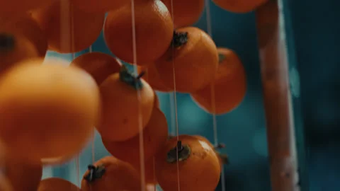 Hanging persimmons drying traditional hoshigaki preparation method Stock Footage 332118942